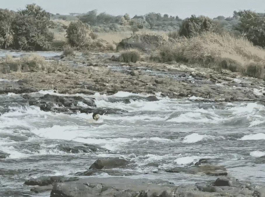 Narmada